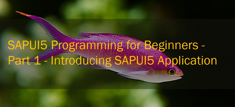 sapui5 programming for beginners sapui5 application