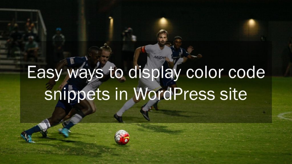 wordpress to display code snippet