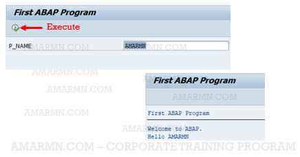 This image has an empty alt attribute; its file name is sap-abap-online-course-14.jpg
