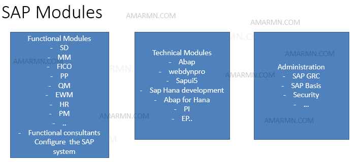 This image has an empty alt attribute; its file name is MODULES-IN-SAP.jpg